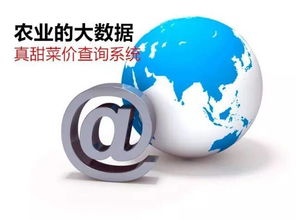 農業信息革命 告別“現代社會原始人”，擁抱“真甜菜價查詢系統”的魔力